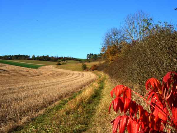 Herbstlandschaft