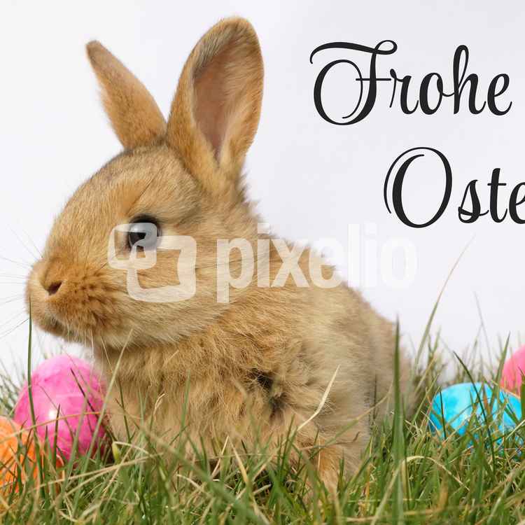 Frohe Ostern mit Osterhasen