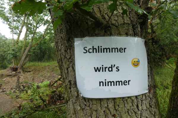 Optimismus