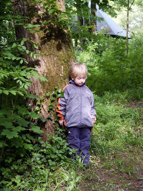  "mein Männlein steht im Walde"