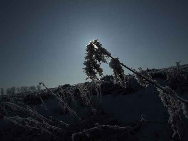 Winterreif im Odenwald, Serie 2