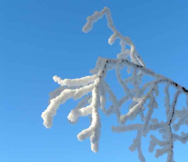 Vom Schatten ins Licht