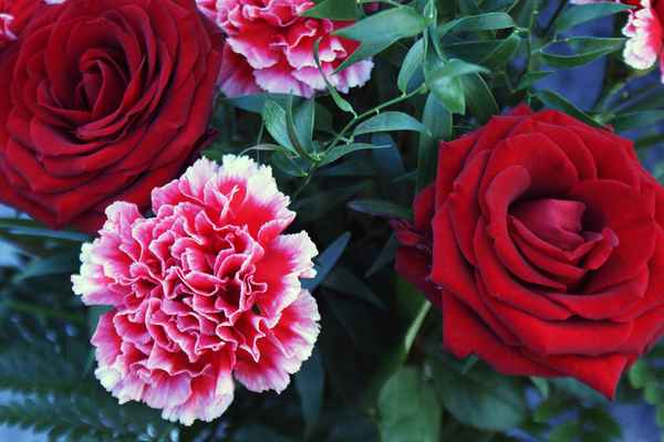 Am Grab - Blumen für die Mutter