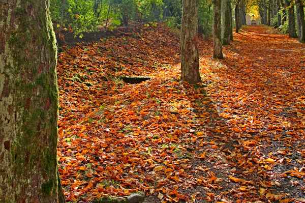 Herbstzeit - Auszeit