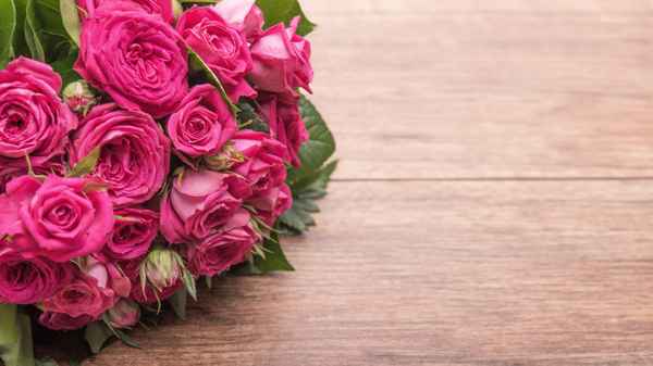 rose