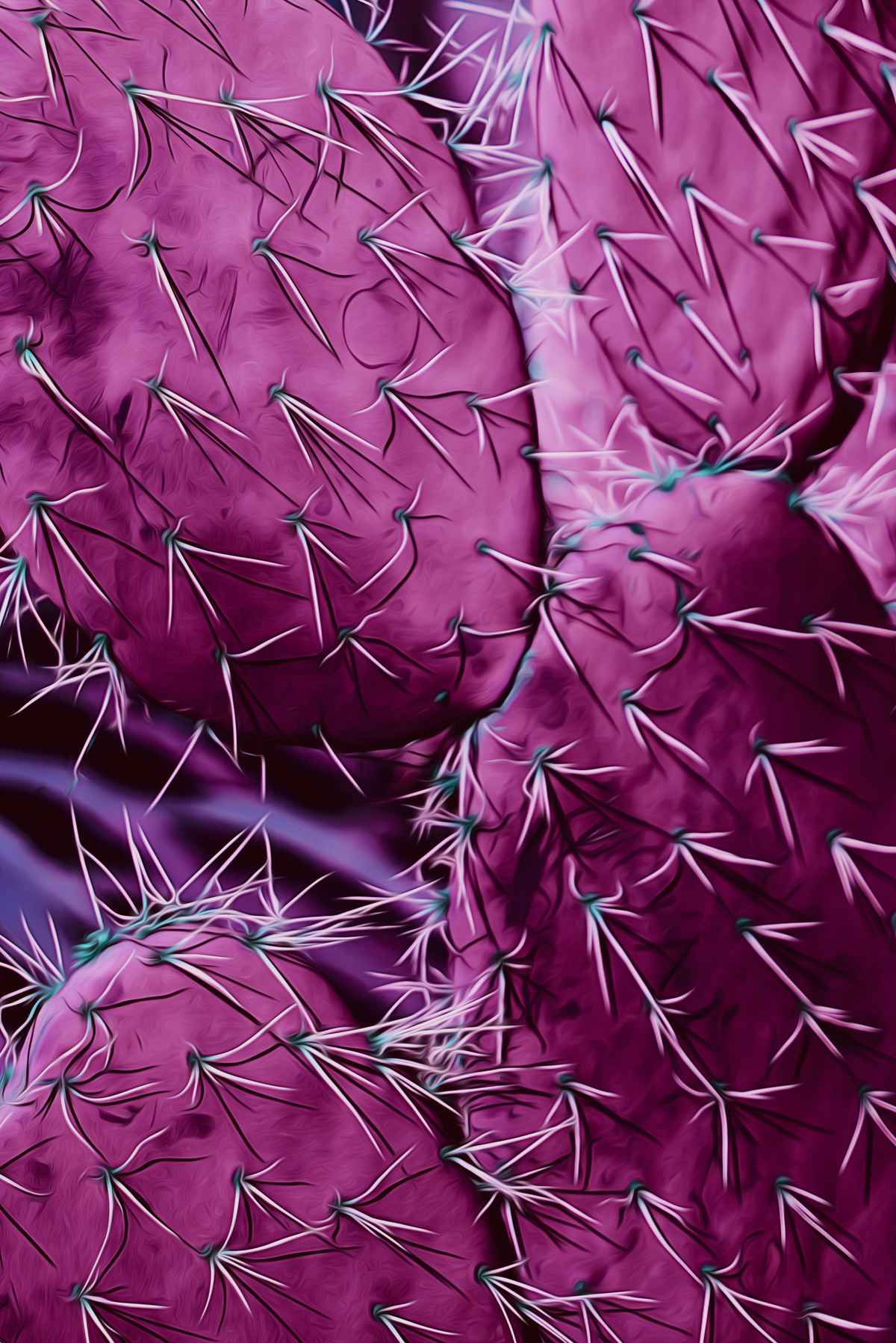 Lila... wolk.... äh... kaktus