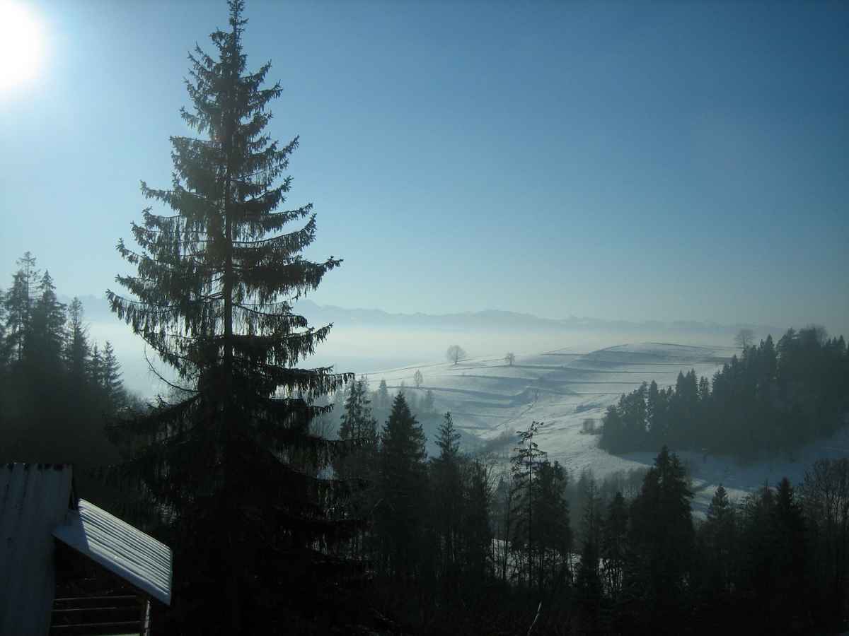 Winterlandschaftstraum 01