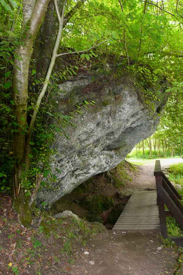 In den Wäldern der Vulkaneifel #6