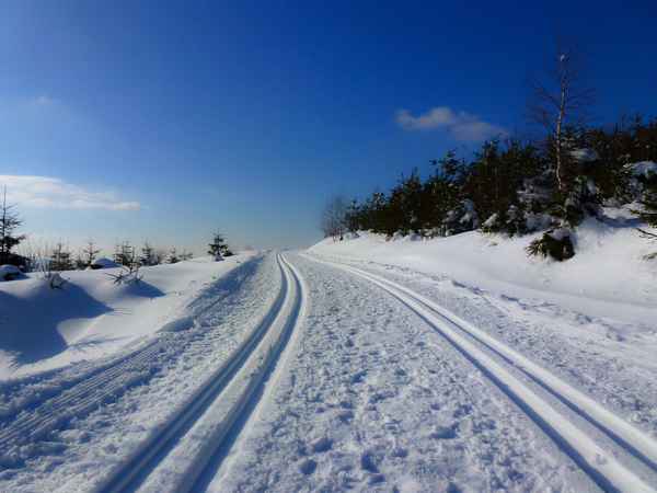 Langlauf-Paradies im Schwarzwald