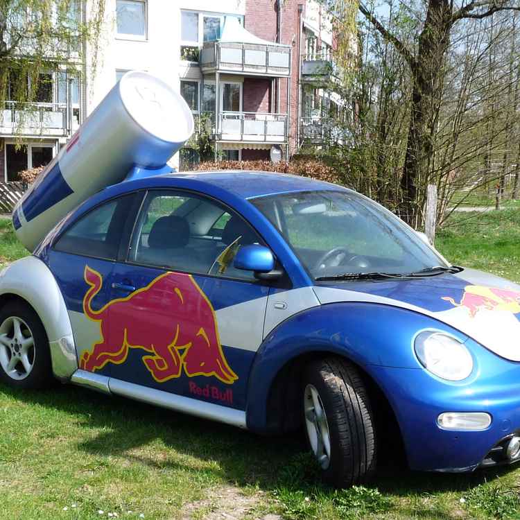 Roter Bulle auf blauem Beetle