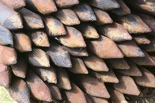 Ist Dracula zu Hause