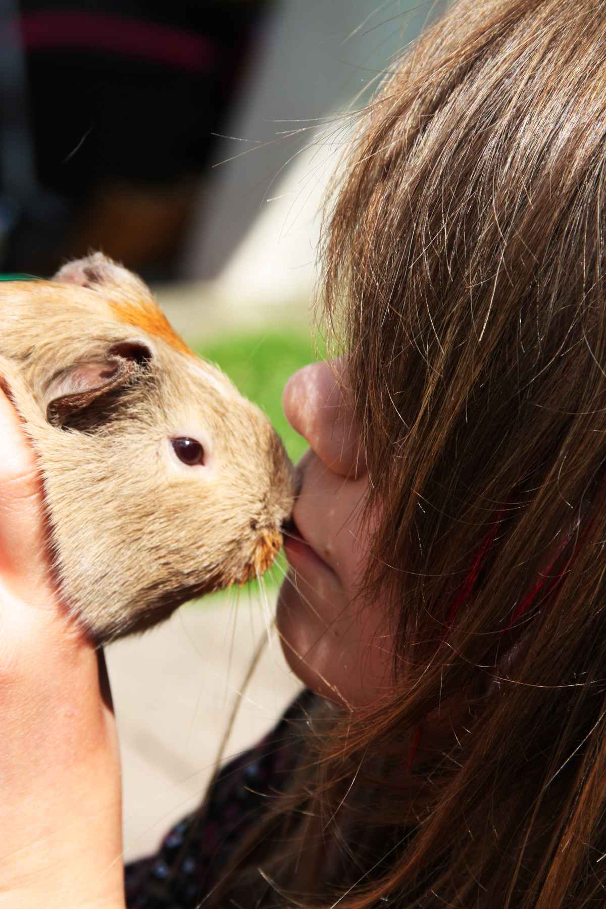 Kind mit Meerschwein