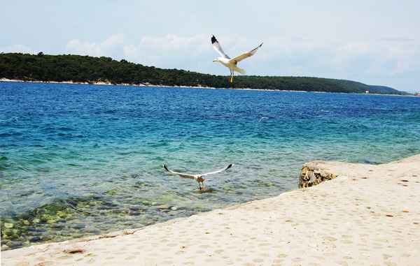 lande-oder abflug