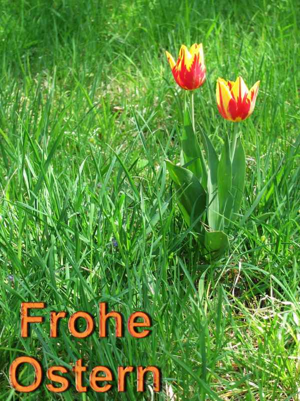 doppelter Ostergruß
