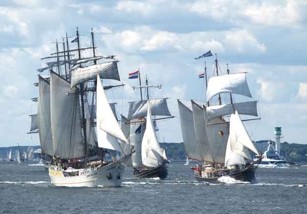 Großsegler unter sich