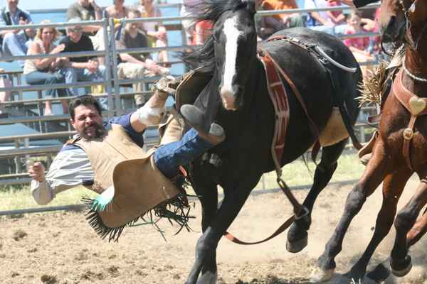 Rodeo