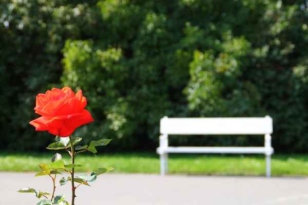 Aus der Erde Prags gewachsen 06