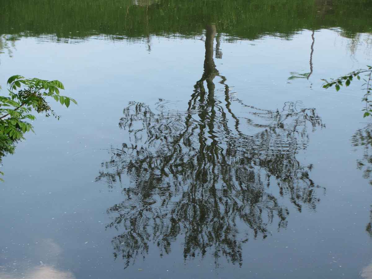 Wasserspiele 3
