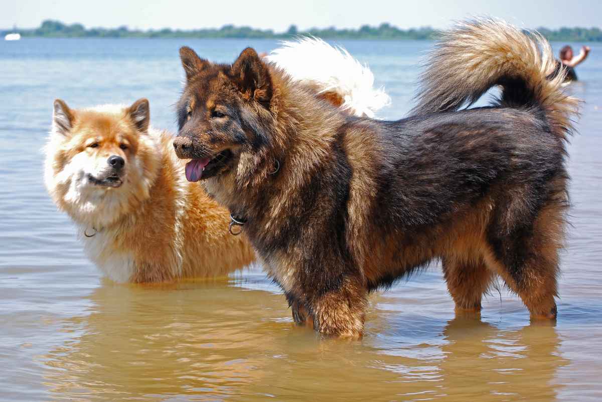 Komm mit in's Wasser, Baby!