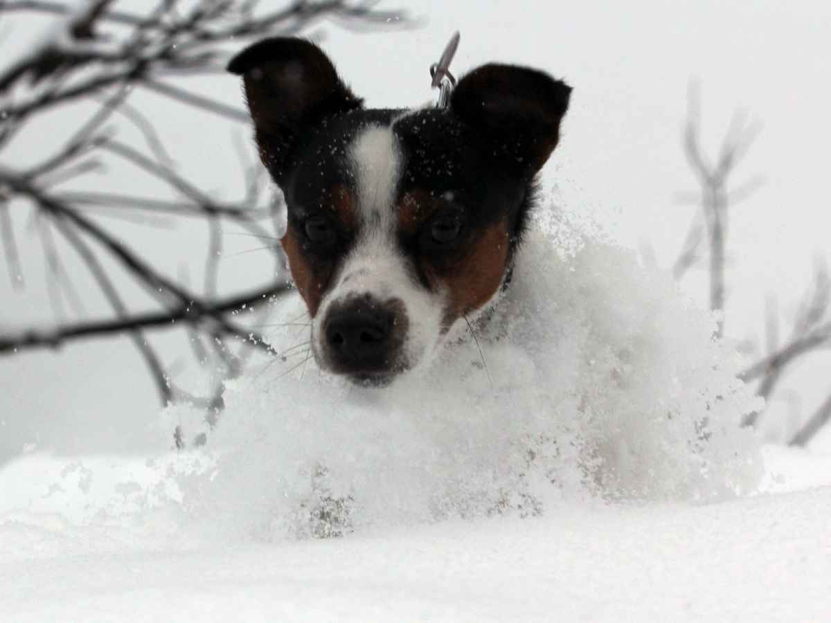 gute Winterreifen
