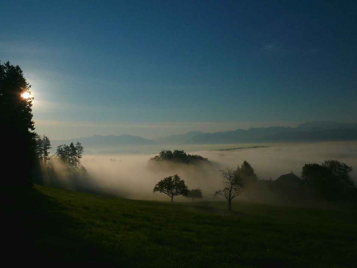 Sonnenaufgang im Nebel