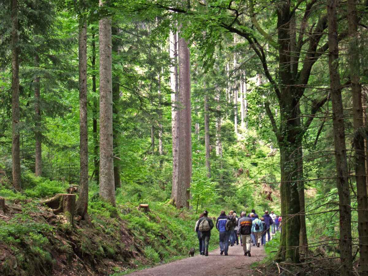 Wandergruppe