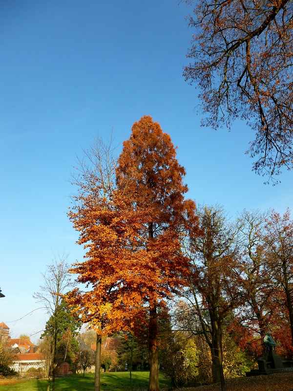 Herbst