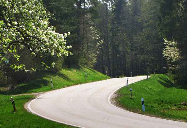 Fahrt in den Frühling 2