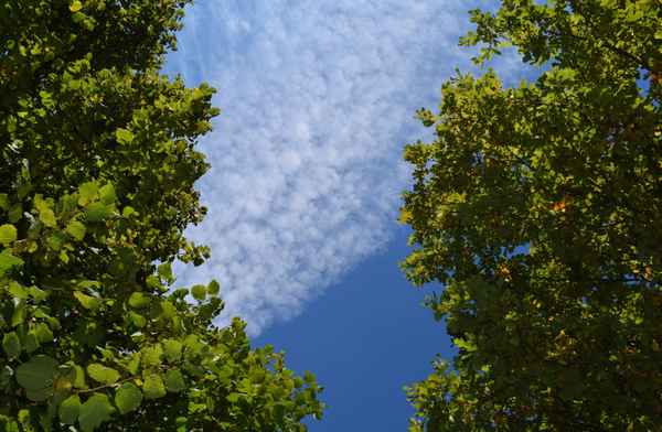 Der Wind malt seine eigenen Bilder 02