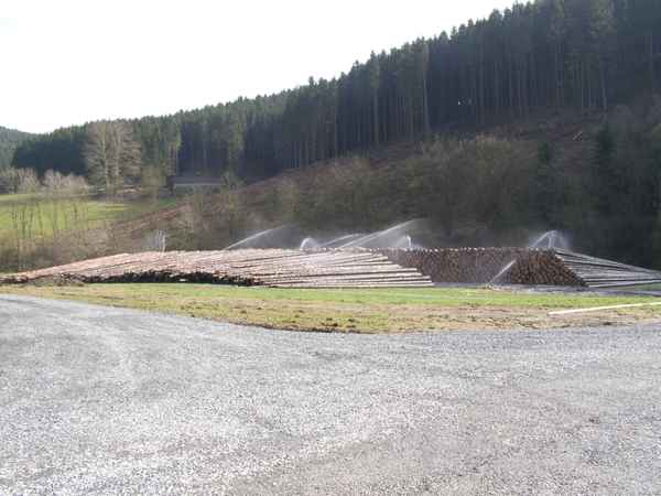 Naßlagerplatz für Holz