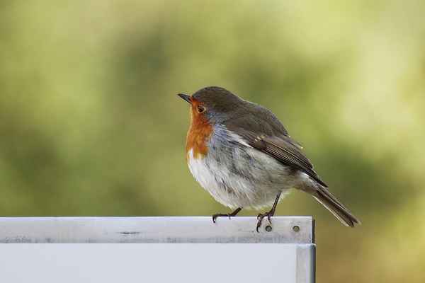 Bin ich hier richtig