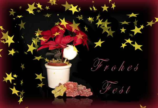 frohes fest