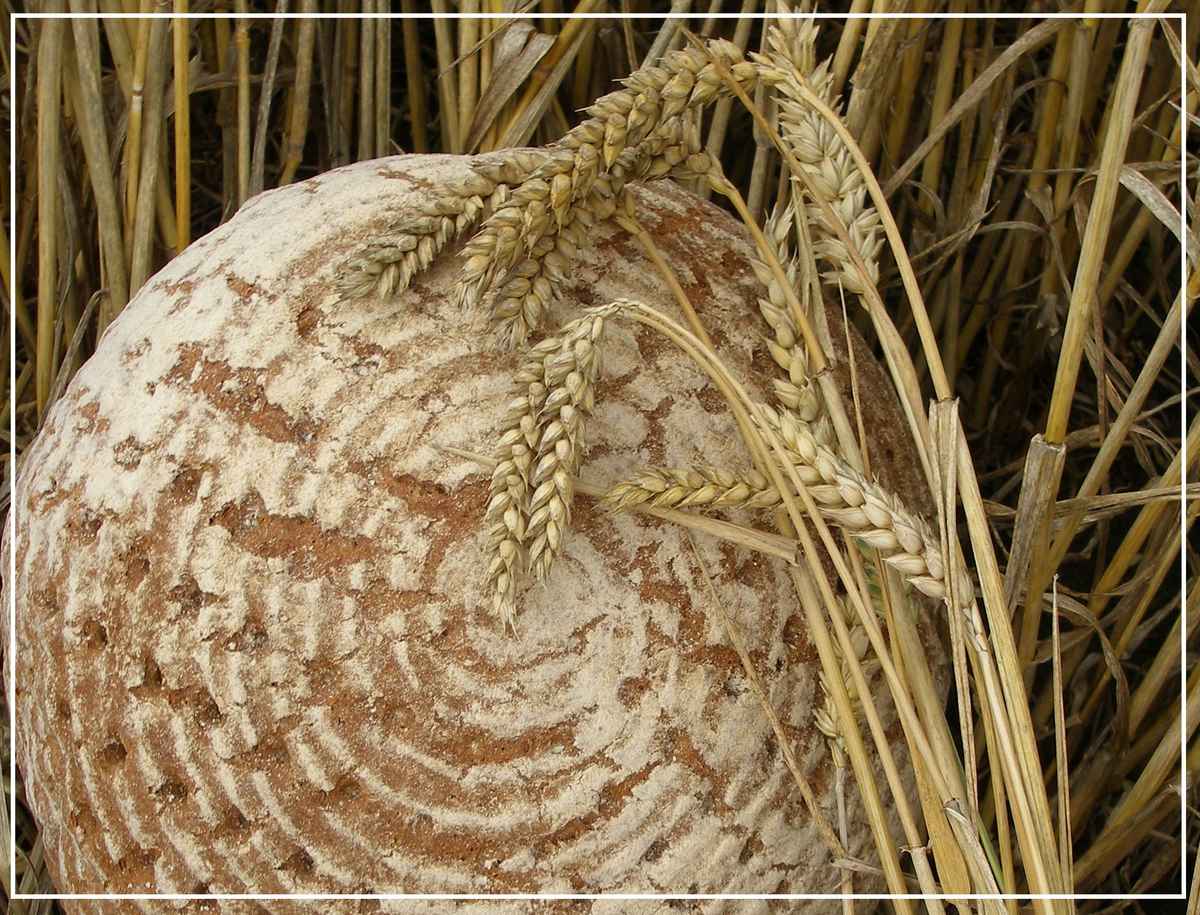 Unser täglich Brot..."