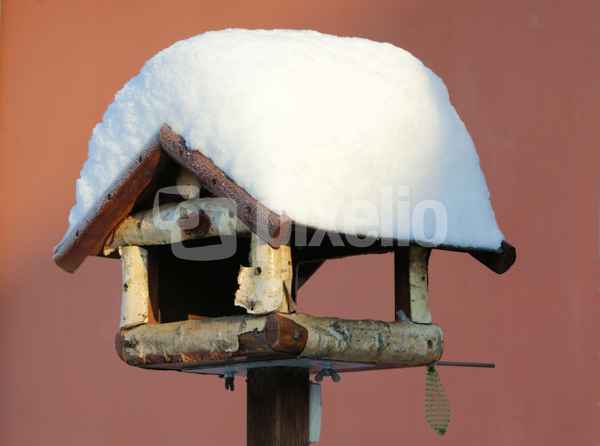 Vogelhaus im Winter