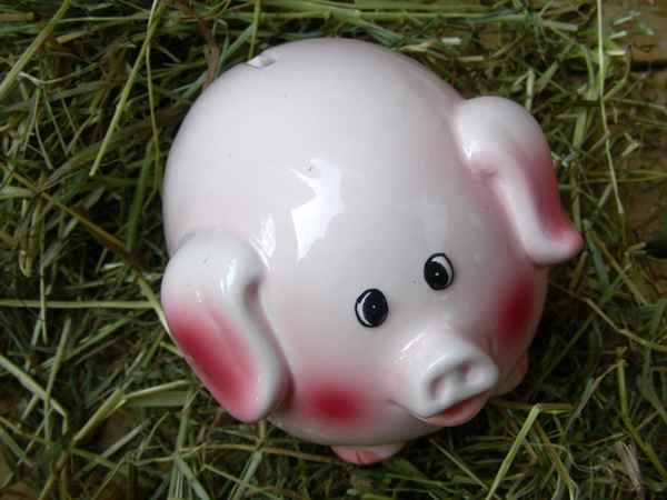 Sparschwein (1)
