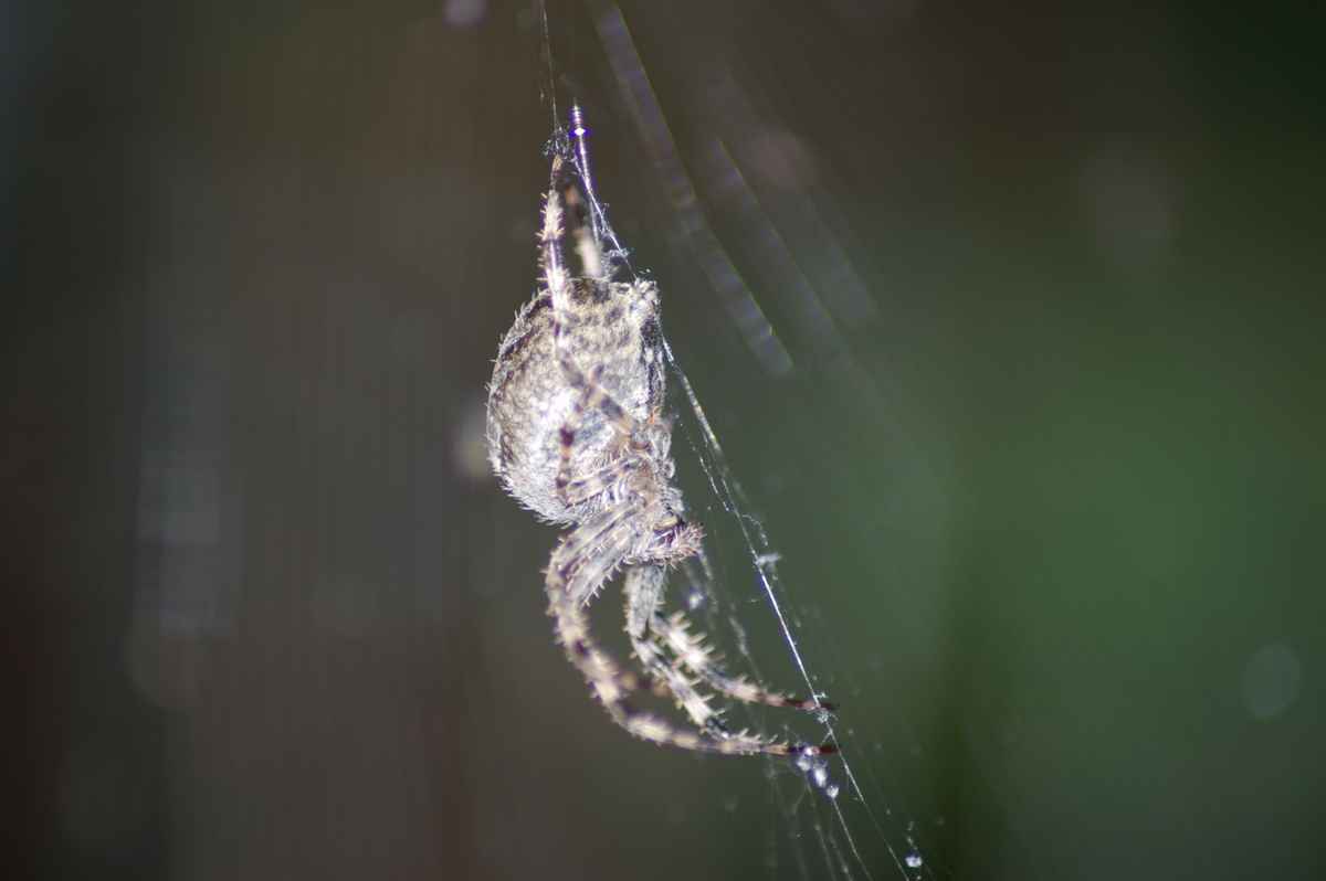 Herbst 01