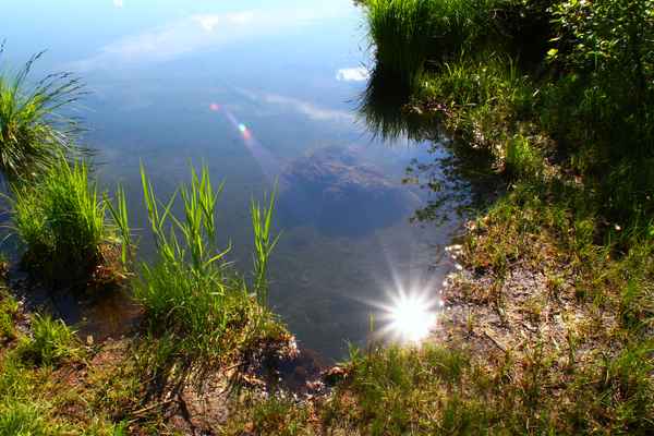 Harmonie der Natur 05