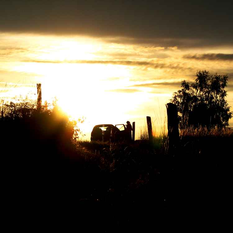 Sommerabend