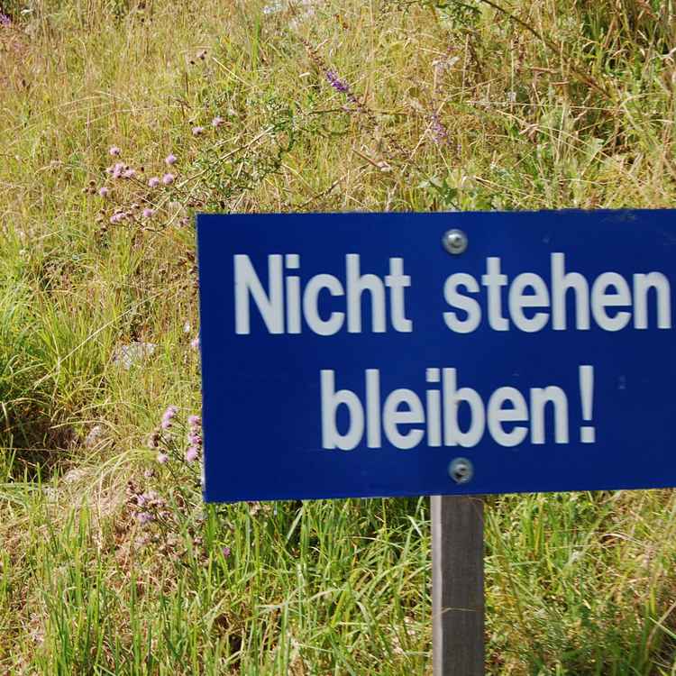 guter rat fürs leben