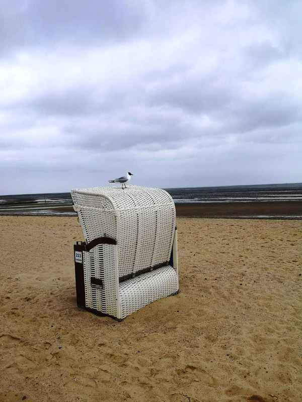Strandkorb mit Möwe