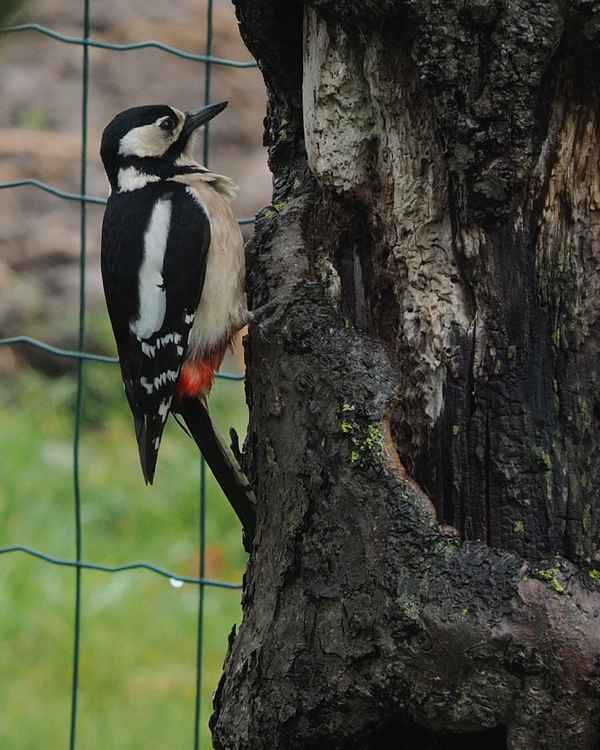 frau specht bei der arbeit