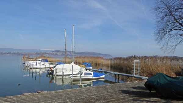 Vorfrühling am Murtensee / 1