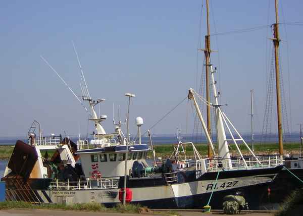 Fischkutter im Hafen von Hvide Sande/Dänemark