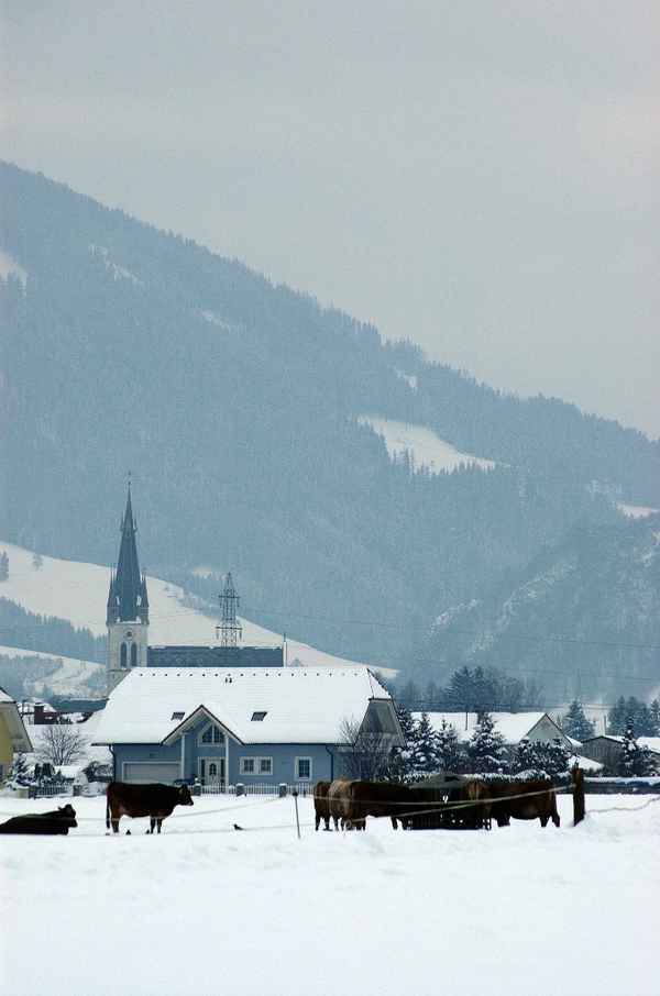 Das Kuhdorf