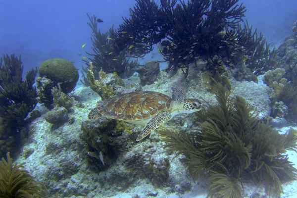 Einfach Wunderschön