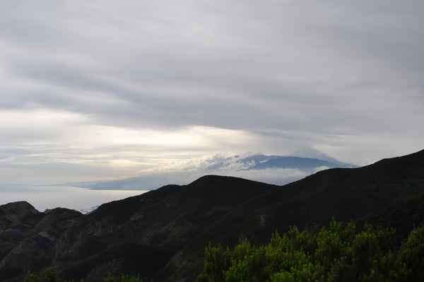 Im Anaga-Regenwald 9