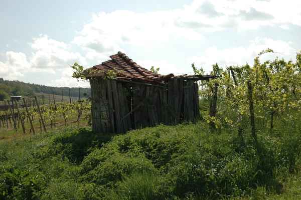 Weinberhütte - kurz vor dem Einsturz