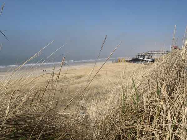 List-der Ellbogen auf Sylt