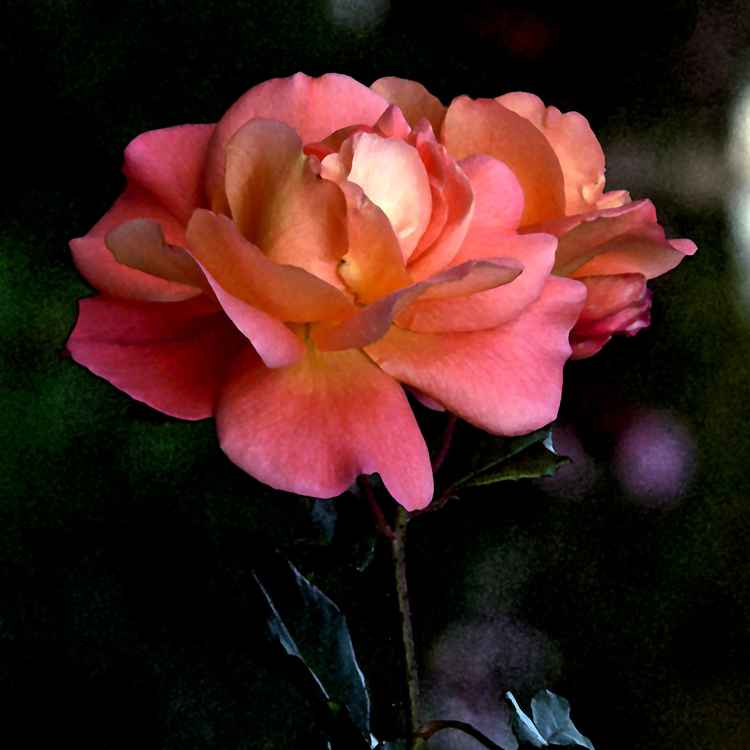 Den Pixelanern einen farbigen Gruß zum Wochenende