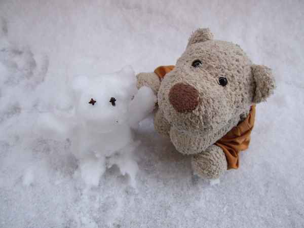 Kleiner Bär mit kleinem Schneemann